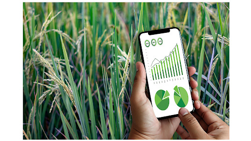 AgriFootprint — the project of the Innovative company Bioinvest-Agro (Ukraine), cloud model for Carbon Footprint assessment in crop growing and agri food value chains.