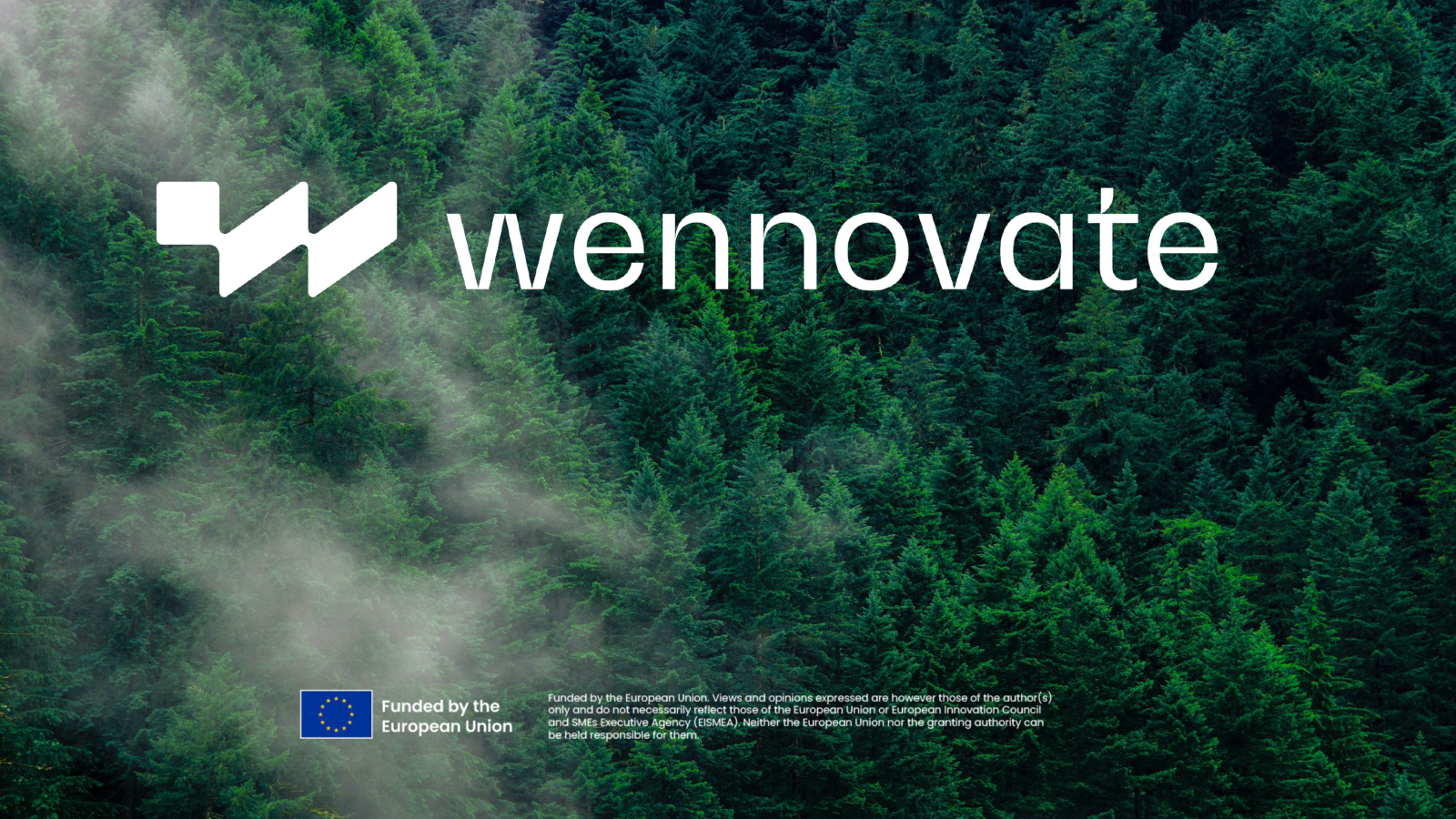 Спільне створення більш зв’язаних екосистем для перехідних європейських інновацій. (WEnnovate)