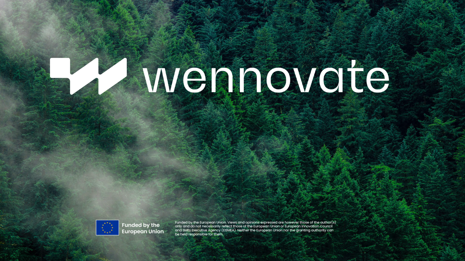 WEnnovate: Co-creating more connected ecosystems to transition European innovation